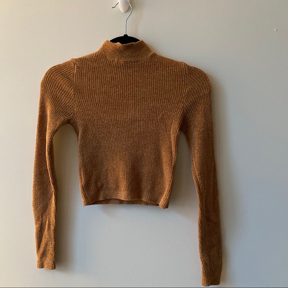 Brown cropped turtleneck